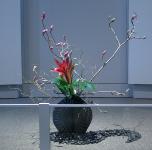 38 - Mary Alice Vermij -- Bel Fiore Flowers and Collectibles.jpg 4.4K